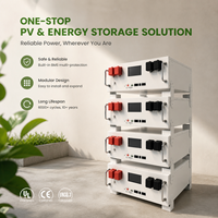 Batterie empilable haute tension 51,2 kWh 512 V LiFePO4 avec BMS pour stockage d'énergie domestique solaire