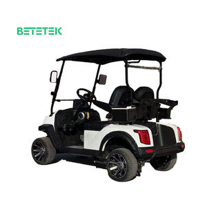 Carrito de Golf Eléctrico Clásico Vintage de Alta Calidad para 2 Personas, Carritos Personalizados, Automóvil para Carreteras No Públicas - Product Image 4