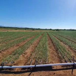 Landbouwbedrijf Irrigatiesysteem Plastic Zwarte Platte Druppeltape Voor Bewatering En Irrigatie