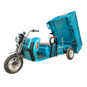 Triciclo Eléctrico Directo de Fábrica en China, Venta al por Mayor, Triciclo Eléctrico de <span class=keywords><strong>3</strong></span> Ruedas para Adultos, Personalizable - Product Image 1