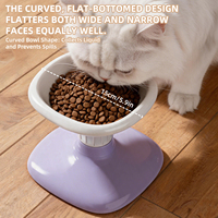 Gamelle surélevée réglable en hauteur pour animaux de compagnie, inclinée, pour chiens et chats, ergonomique, protège le cou, en ABS, amovible et facile à nettoyer