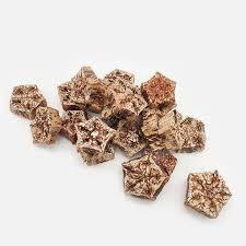 ฝักไม้มะฮอกกานีคุณภาพสูงสำหรับตกแต่งแบบทำมือดอกไม้และต้นไม้สำหรับงานแต่งงานบ้านงานสำนักงานและการจัดดอกไม้แห้ง - Product Image 5