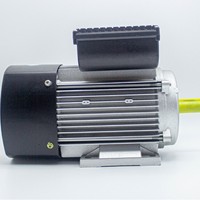 Moteur asynchrone monophasé avec protection thermique contre les surcharges, fonction de démarrage basse tension, 220V, cuivre pur, pour machines agricoles