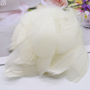 100 unids/bolsa al por mayor a granel barato Natural colorido carnaval plumas decorativas para manualidades sombreros vestido atrapasueños - Product Image 6