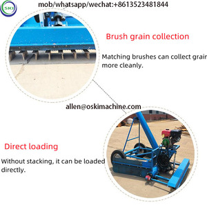 Rijst En Tarwe Laden En Graan Zuig Machine Truck Type Graan Ontvangst Machine Maïs Transportband - Product Image 6