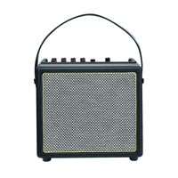 Amplifier Gitar Rowin Live Dual Speaker dengan Rekaman Internal 30W Dual Live Outdoor Audio Amplifier