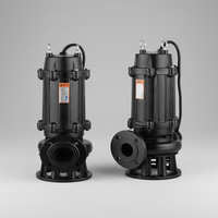 Pompe à eaux usées submersible de type WQ, moteur à courant continu haute pression, utilisation industrielle, construction en fer, OEM personnalisable