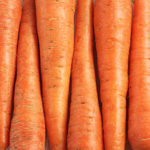 Carottes fraîches biologiques standard, texture croquante et sucrée, riches en vitamines, stockage à froid, fournisseur direct de la ferme, vente en gros au Vietnam - Product Image 1