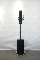 Sistema de Columna de Sonido Accuracy Pro Audio NSC SHARP 210CA, Altavoz de Columna Activo Profesional con Subwoofer