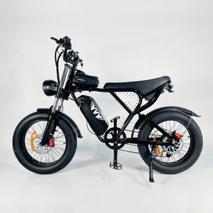 Vélo Électrique Hybride Tout-Terrain 48V 20Ah avec Moteur Moyeu et Pneus Larges pour Adultes Q20 Q20 – Entrepôt US/UE - Product Image 1