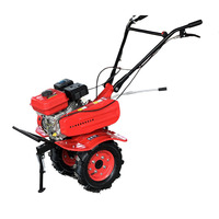 Motoculteur 170F 7 CV, Micro-cultivateur, Petit moteur agricole à essence, Motobineuse rotative pour désherbage, creusement de tranchées et labour domestique