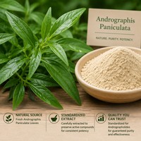 Extrait de feuilles d'Andrographis Paniculata en poudre, qualité alimentaire, blanc, 10% 50% Andrographolide, à base de plantes naturelles