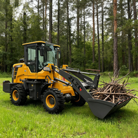 Pala Gommata Mini da 2,5 Tonnellate 4x4 con Certificazione EPA CE Cinese, Adatta per Progetti di Costruzione di Porti, Fattorie e Strade