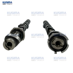 En stock <span class=keywords><strong>arbre</strong></span> à cames d'admission et d'échappement de qualité OEM pour Land Rover Winning 2.0T pièce automobile pièces d'<span class=keywords><strong>arbre</strong></span> à <span class=keywords><strong>came</strong></span> de voiture OE LR030366 JDE36103 - Product Image 5