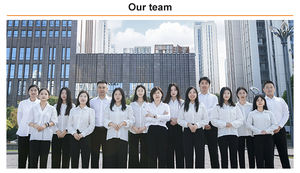 Expansível Container Casa 40ft Porta a Porta Mobile Homes Casa 2 Quartos Mobile Homes Casa - Product Image 6