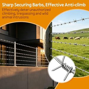 Filo Spinato per Recinzioni di Sicurezza, Protezione Perimetrale e Uso Agricolo, Resistente, Affilato e Durevole alle Intemperie - Product Image 2