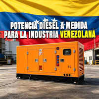 Generador diésel comercial silencioso de 300 kVA 250 kW 300 kW trifásico para Venezuela