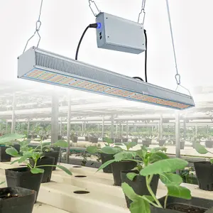 Led Grow Lamp 640W 650W Greenhouse Grow Lamp Full Spectrum LED Grow Lights Bar Led Grow Lights