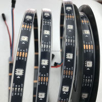 Lampu Strip LED WS2815 DC12V RGBIC Individual Addressable Dual Signal Anti-putus 30 60 144 LED Programmable RGB