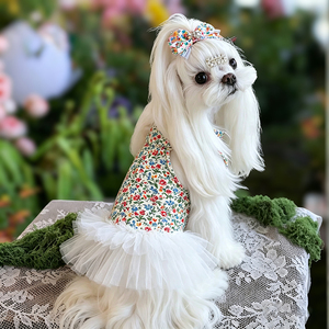 Vestito Morbido e Traspirante per Gatti e Cani Femminili, Direttamente dalla Fabbrica, Ideale per Foto, Gite nel Weekend e Vacanze - Product Image 3