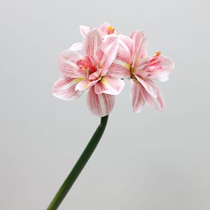 Flor de Amarilis de Tacto Real, Flor Artificial Hecha a Mano para Decoración del Hogar y el <span class=keywords><strong>Porche</strong></span>, para Ocasiones de Graduación - Product Image 6