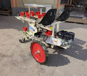 Planteuse automatique <span class=keywords><strong>de</strong></span> <span class=keywords><strong>légumes</strong></span> pour ferme, machine motorisée autopropulsée pour le repiquage <span class=keywords><strong>de</strong></span> semis, transplanteur <span class=keywords><strong>de</strong></span> semis à moteur à vendre - Product Image 3