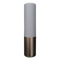 Lampe de table LED rechargeable DMX télécommandée en gros, en ABS, forme cylindrique, idéale pour les remises de diplômes, Diwali, Ramadan – Nouveauté !