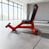 Chaise de musculation fixe professionnelle pour presse d'épaules, banc utilitaire vertical