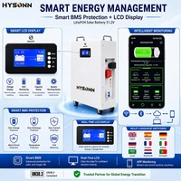 Batterie solaire LiFePO4 murale Hysonn en stock à l'étranger 51,2 V pour les installateurs et revendeurs d'ESS résidentiels en UE OEM ODM