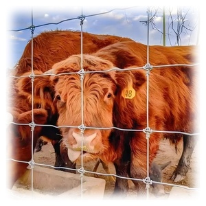 تراجع الساخنة المجلفن 5 قدم 6 قدم 7 قدم 8 قدم الغزلان الماشية الثابتة الخيول الجمل عقدة على سياج حقل المزرعة ، سياج مزرعة معدني - Product Image 2