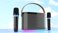 Haut-parleur portable Son de haute qualité avec double fonction de micro sans fil Prise en charge du haut-parleur TF USB AUX Bt pour les activités de plein air en intérieur