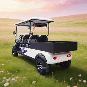 Voiturette de golf électrique 2 places avec éclairage LED et espace de chargement pour le transport et l'entretien des terrains de golf - Product Image 5