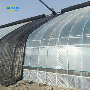 Invernadero Quonset <span class=keywords><strong>de</strong></span> un solo tramo con película UV <span class=keywords><strong>de</strong></span> 0.12mm para la producción <span class=keywords><strong>de</strong></span> <span class=keywords><strong>cilantro</strong></span>, bajo costo y alta luminosidad - Product Image 5