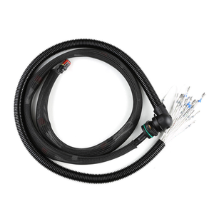 Nouveau faisceau de câblage d'injecteur 22248490 VOE22248490 pour pièces détachées d'excavateur - Product Image 3