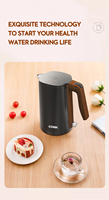 CDWK bouilloire électrique en acier inoxydable 1.2L tetera electrica jarra electrica bouilloire électrique