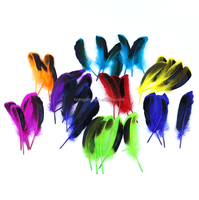 Plume d'oie de couleur naturelle pour artisanat DIY coiffure chapeau cheveux Costume accessoire carnaval fête mariage maison Halloween décor