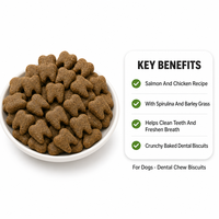 Biscuits à mâcher pour chiens au saumon, poulet, spiruline et herbe d'orge pour le nettoyage des dents, OEM ODM Marque Privée Vente en Gros