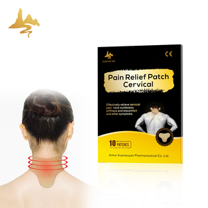Nova Chegada Hot Cold Pack Natural Herbal Wormwood Transdérmico Pescoço Etiqueta Lombar Espinha Cervical Patch para Alívio Da Dor - Product Image 1
