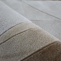 Tapis d'affaires personnalisés de haute qualité à conception irrégulière Tapis d'intérieur fait à la main en 3D