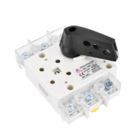 Interruptor de Aislamiento de Potencia Industrial de 3 Polos HGL-100/3X de Asia-Pacífico, de Cobre/Goma de Silicona, IP20, CA 1000V, 50/60Hz