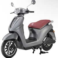 Scooter électrique tout-terrain pour adultes 1000W 60V Batterie au lithium étanche Charge maximale 150kg Autonomie 35-60km Prise européenne compatible