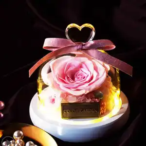Оптовая продажа, Вечные цветы, сохраненные розы, купол для свадебных украшений в стеклянном пакете, цветные консервированные цветы и растения Pfg1