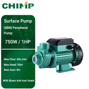 Pompe à eau <span class=keywords><strong>vortex</strong></span> de surface électrique <span class=keywords><strong>1</strong></span> CV, largement applicable pour l'alimentation en eau - Product Image 1