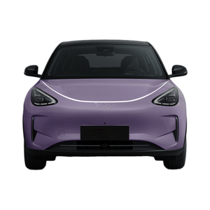 Berlina elettrica Geely Xingyuan 2026 lungo raggio 310km Dream Edition Smart Driving Design elegante in Stock per adulti - Product Image 1