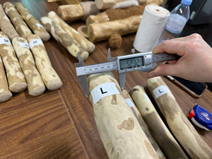 Bâton à mâcher pour chien en bois de café, qualité supérieure, directement de l'usine, naturel, biologique, jouet en bois pour animaux de compagnie, pour mâcheurs agressifs, OEM ODM Vietnam XXL - Product Image 2