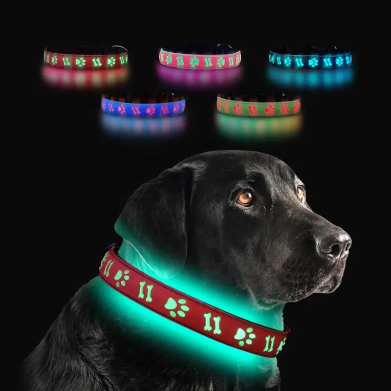 2024 waterproof LED Pet Collars Adjustable color LED Collars for Dogs Night Anti-Lost Dog Products Electronic Pet LED Dog Collar