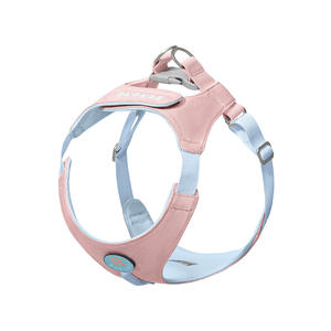 <span class=keywords><strong>Harness</strong></span> Anjing Baru <span class=keywords><strong>2026</strong></span> untuk Anjing Kecil dan Sedang, Bahan Nylon Polyester, Warna-Warni, Ringan, Dapat Disesuaikan, Anti Tarik - Product Image 4