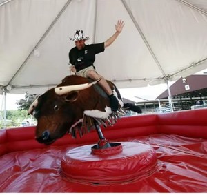 Toro Mecánico Temático de Rodeo con Cama de Seguridad Inflable, Juego Comercial de Toro Mecánico para Fiestas Campestres y Eventos Vaqueros - Product Image 6
