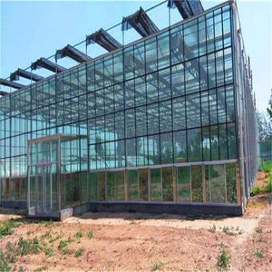 Invernadero Económico de Acero Galvanizado en Caliente de Gran Tamaño y Múltiples Tramos con Vidrio Templado para <span class=keywords><strong>Agricultura</strong></span> Hidropónica - Product Image 3