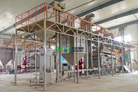 Machine de nettoyage et de déstonage de graines de soja, chia, sésame, quinoa et haricots, capacité 5 tonnes par heure